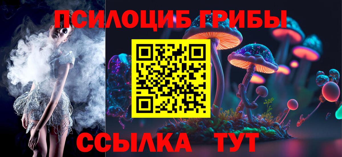 Псилоцибиновые грибы Psilocybine cubensis  Вход с VPN  цена наркотик  Куйбышев 